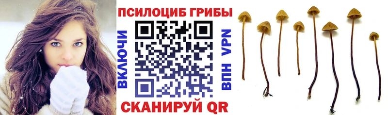 это наркотические препараты  Малмыж  Псилоцибиновые грибы мухоморы 